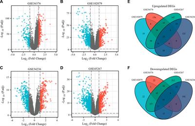 Identification of oncogenes and tumor-suppressor genes with hepatocellular carcinoma: A comprehensive analysis based on TCGA and GEO datasets